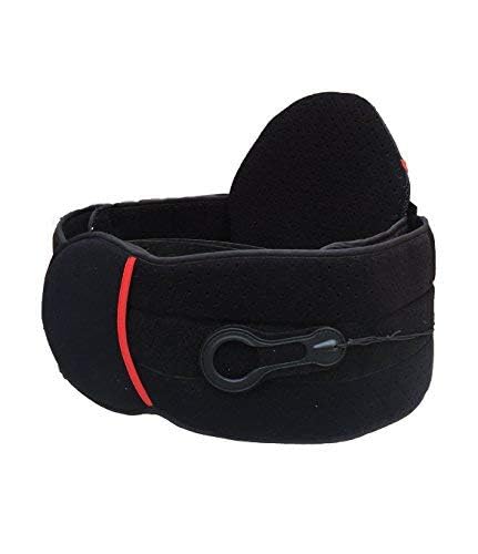 Back, abdomen & chest